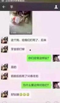 深圳龙哥爆料最新消息,最新热点事件深度解析